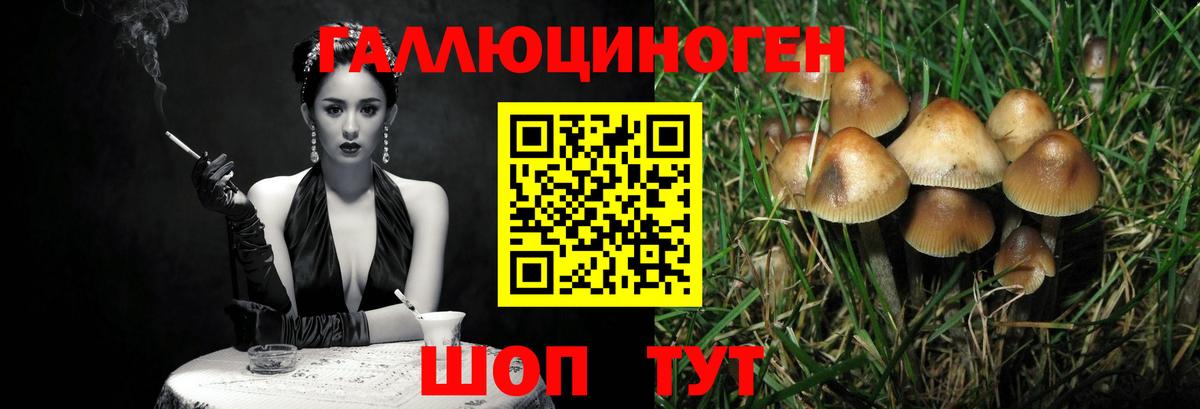 Морозовск  Псилоцибиновые грибы Psilocybine cubensis  Псилоцибиновые грибы мицелий  Вход с VPN 